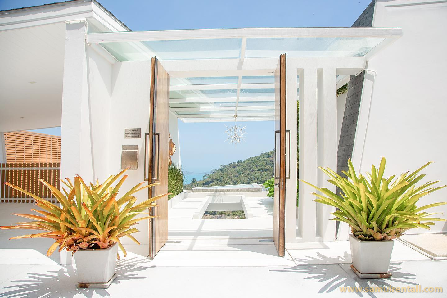 203025168_203176931684760_6611431352164368316_n